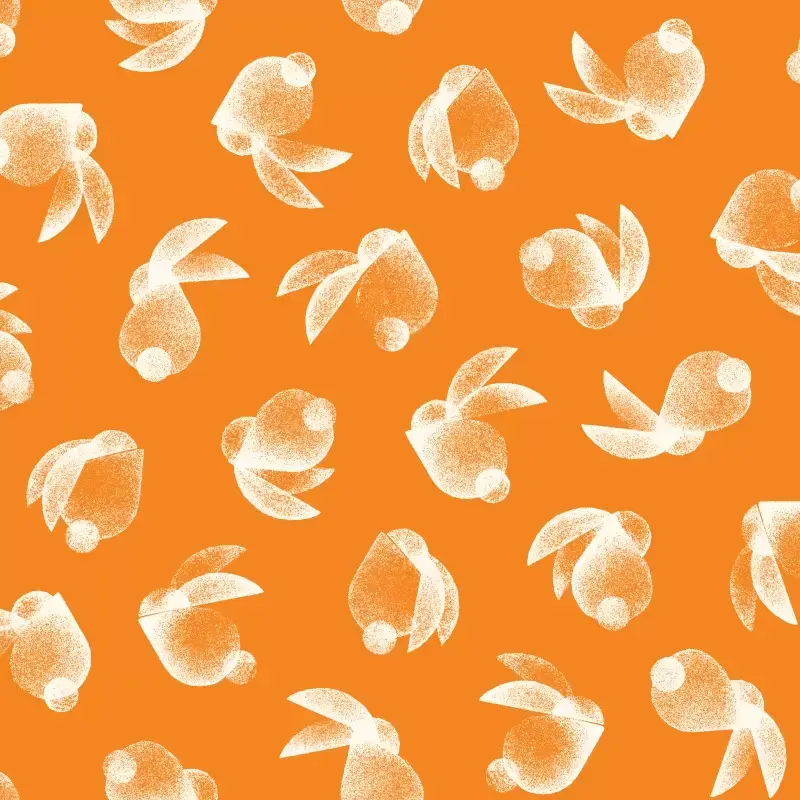Rabbits pattern in orange